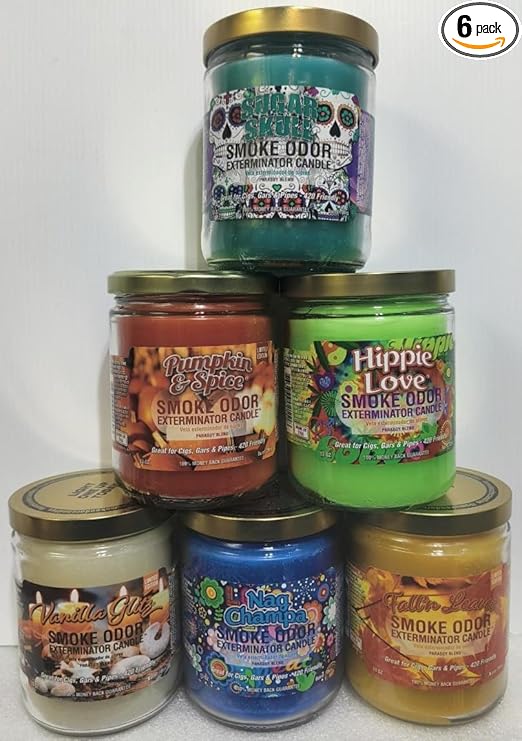 Smoke Odor Exterminator 13 oz Jar Candles Sugar Skull Assorted (6) Includes Sugar Skull, Fall’N Leaves, Pumpkin Spice, Vanilla Glitz, Nag Champa & Hippie Love. - sugar skull candle holder