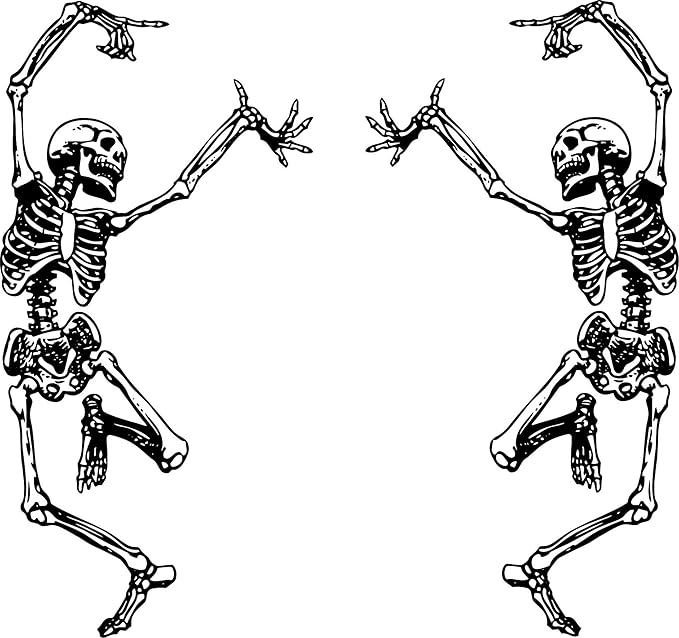 Skeleton Skull Stickers Trippy Grateful Steal Your face Rock Band Dancing for Car Halloween Car Decals Laptop Windows Truck and More Vinyl Pack of 2 Large Dancing Skeletons (6 inches) Combo - sugar skull vinyl sticker
