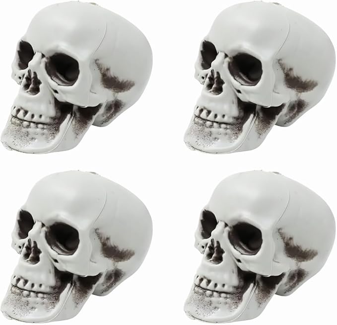 Small Fake Skeletons, 5 Inch Plastic Mini Skulls for Crafts, Outdoor Halloween Decorations, Realistic Miniature Human Skull Heads (4) - sugar skull figurine collectible