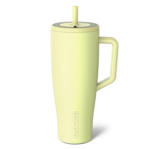 BrüMate Era 40 oz Tumbler with Handle & Straw | 100% Leakproof Insulated Water Bottle Tumbler with Lid & Flexible SoftSip Straw | Made of Stainless Steel | Cup Holder Friendly | 40oz (Prickly Pear) - sugar skull coffee cup