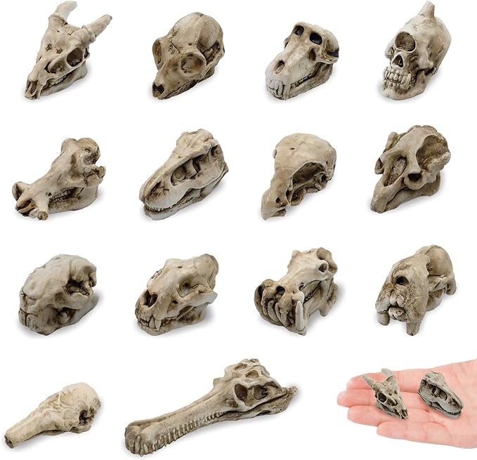 14 Pcs 1.5 Inch Mini Resin Animal Skull Heads Miniature Animal Skull Figurines Mini Halloween Skulls Mini Skull Figurine Miniature Skulls for Crafts Halloween Christmas Micro Landscape Decor - sugar skull figurine collectible