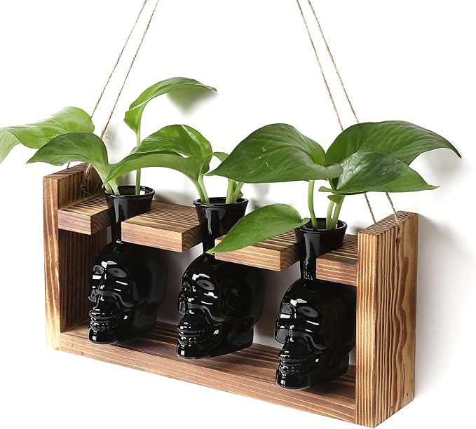 Plant Terrarium Propagation Stations Hydroponics Halloween Skull Planter Vase Skulls Decor with Wooden Stand Gife for Father - sugar skull wine glass