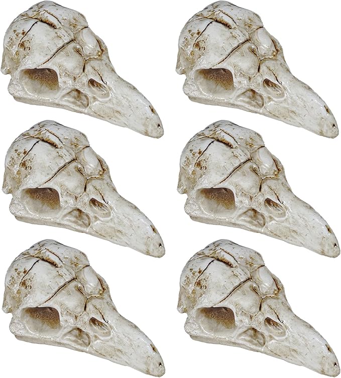 Bbiamsleep 6 Pcs Halloween Raven Skull Figurine Gothic Raven Animal Skulls Mini Resin Crow Skulls Ornament Decor for DIY Projects Gothic Halloween Skeleton Decor - sugar skull figurine collectible
